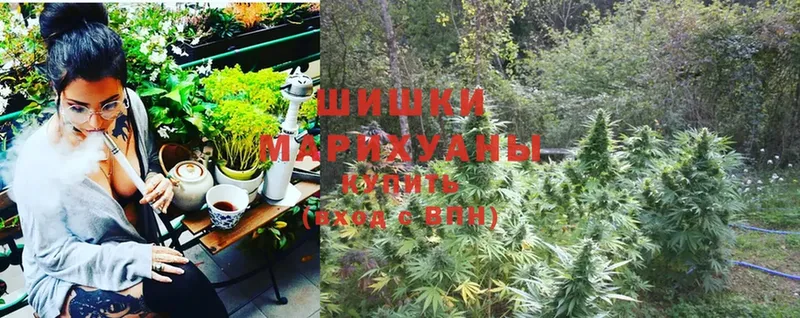 МАРИХУАНА OG Kush  гидра ссылки  Шацк 